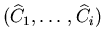 $({\widehat C}_1, \ldots , {\widehat C}_i )$