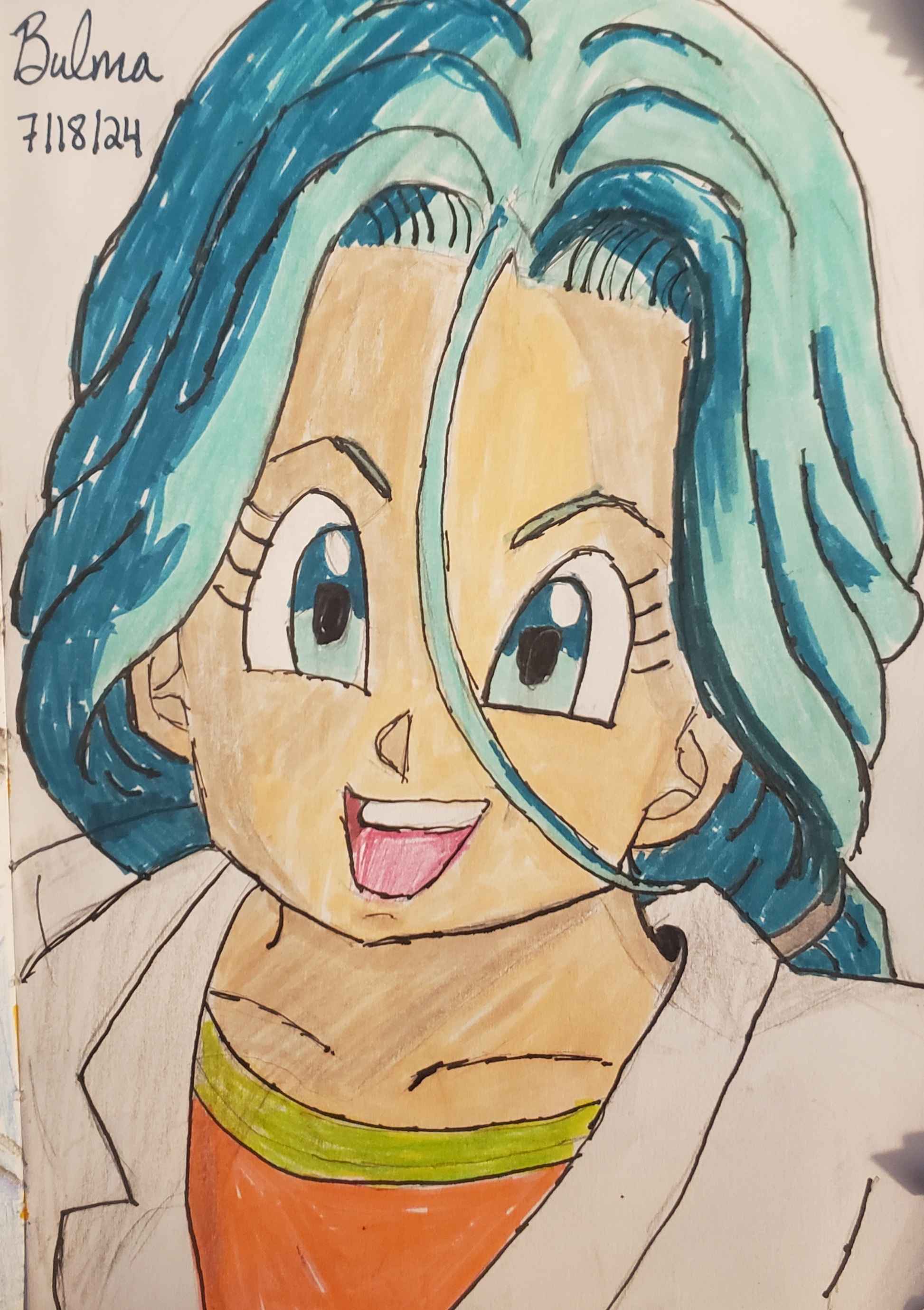 Bulma - July 18, 2024 (Marker)