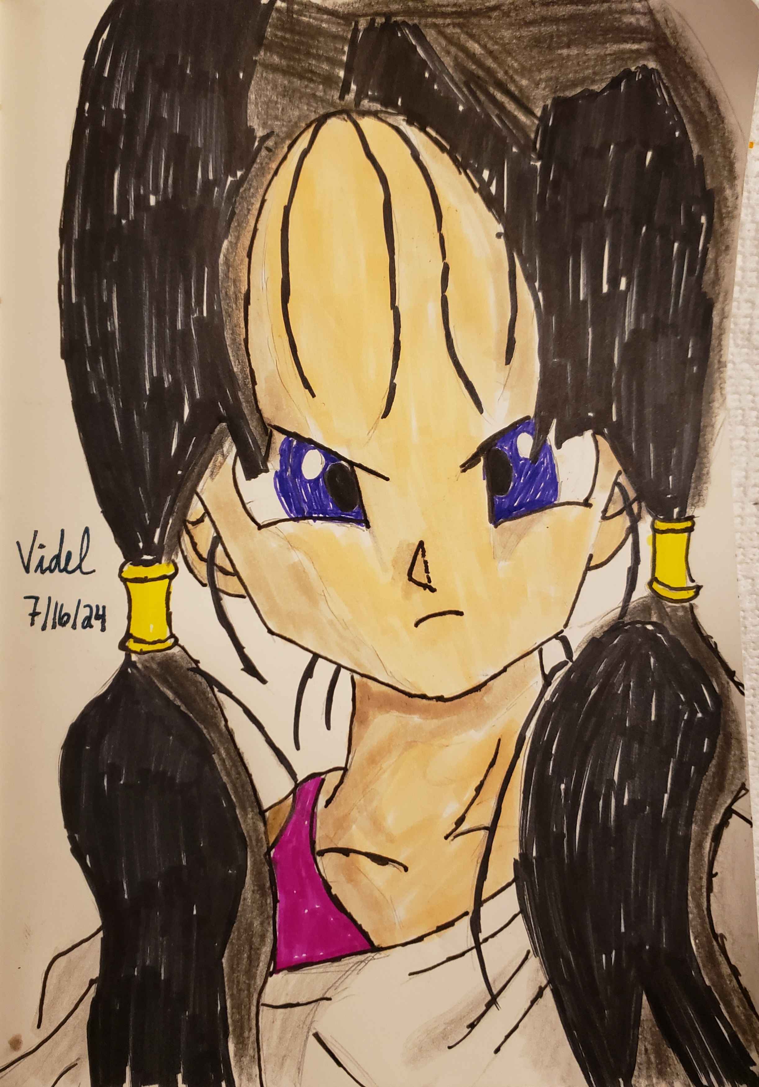 Videl - July 18, 2024 (Marker)