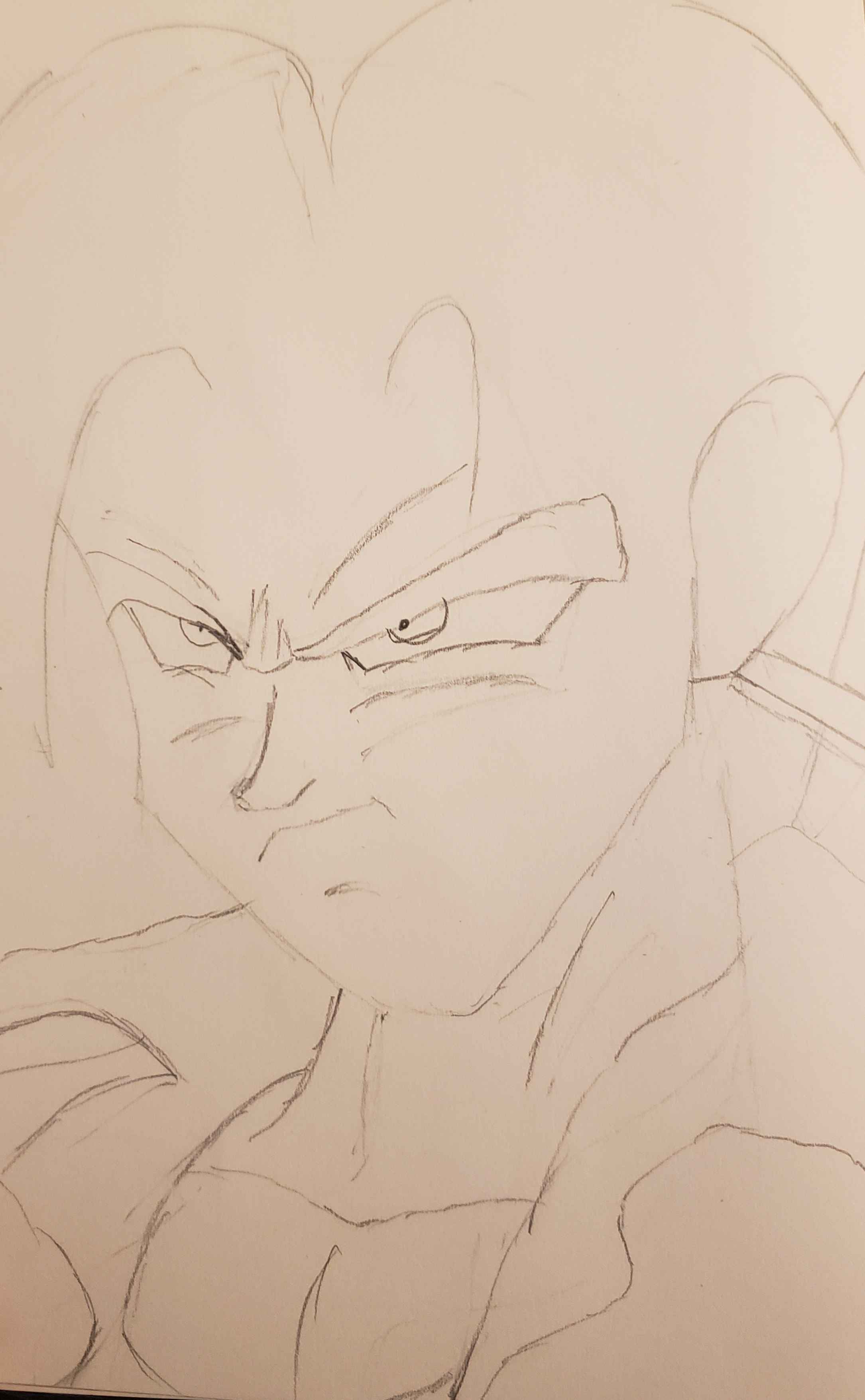 Trunks - July 15, 2024 (Sketch)