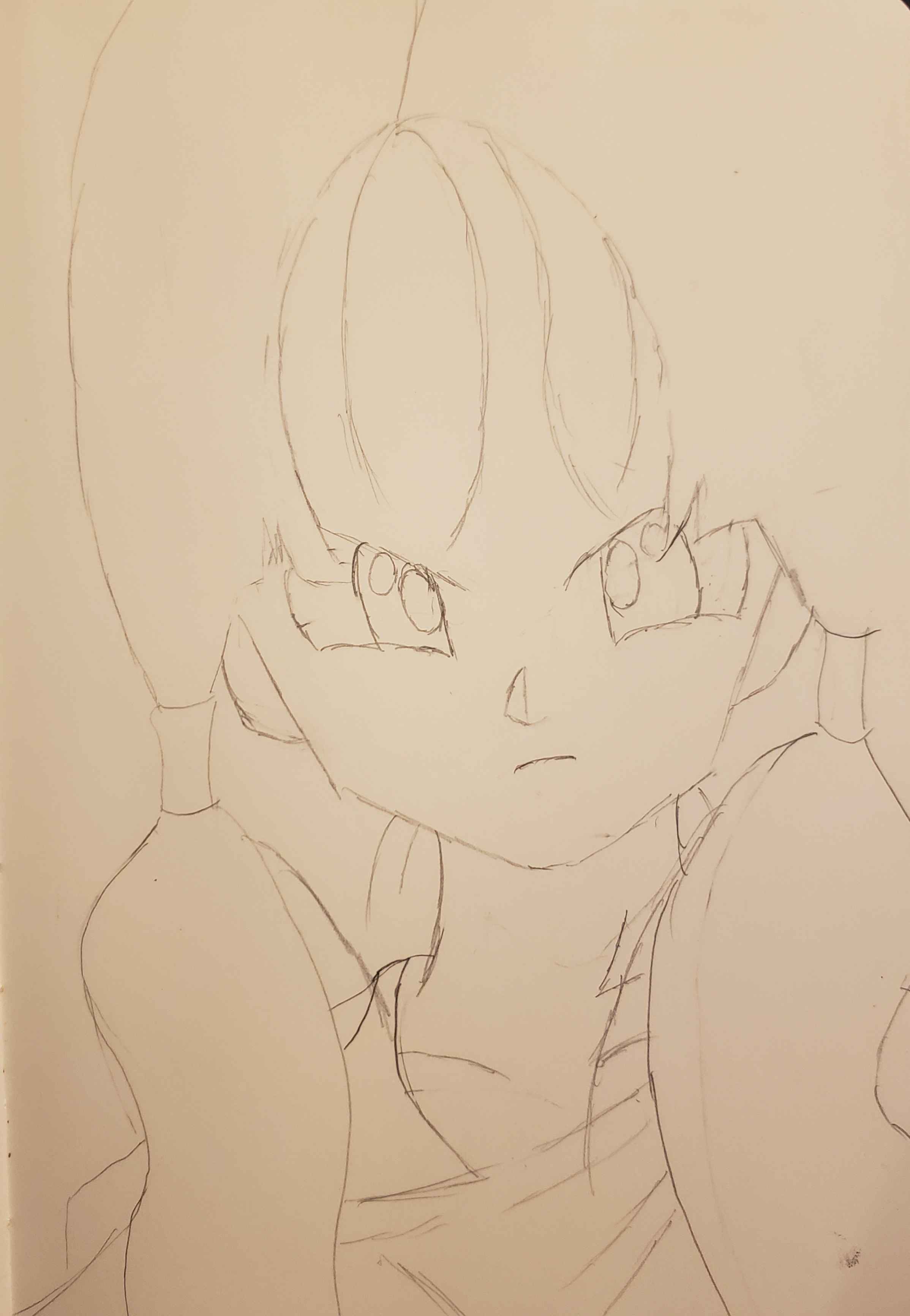 Videl - July 16, 2024 (Sketch)