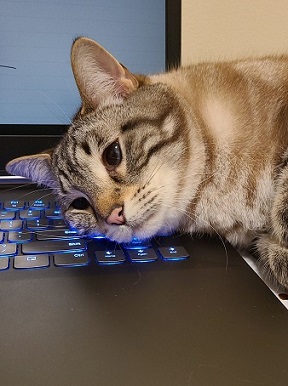 Helpful